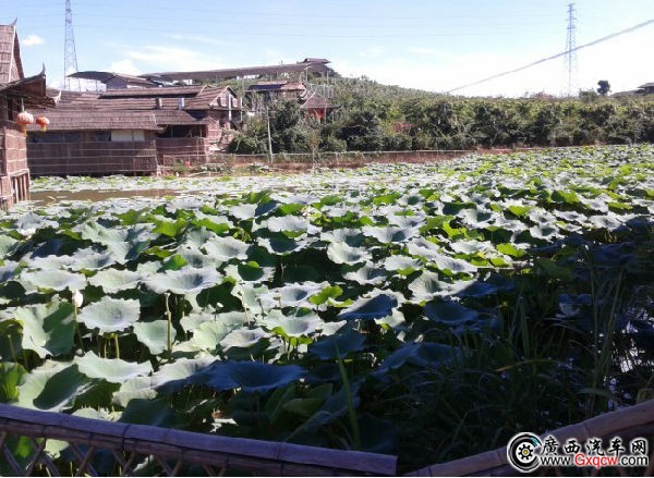 QQ圖片20130716091742.jpg