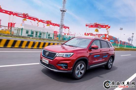 1537430368283796.jpg 圖片/上海17號(hào)挑選/DSC_5373副本.jpg