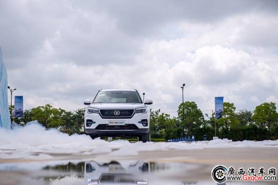 1537834135471517.jpg 圖片/上海15挑選/1/DSC_3927.jpg