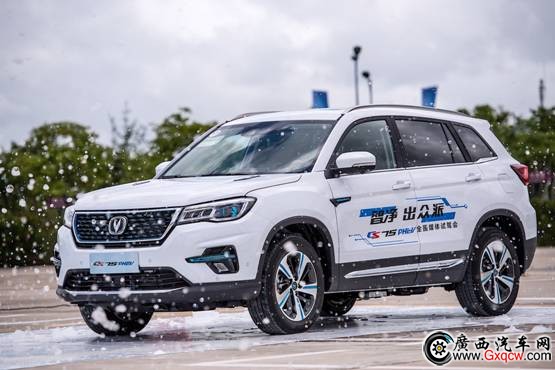 1537834135516437.jpg 圖片/上海14號精選/DSC_2559.jpg